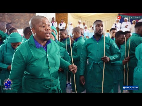 Inyoni Emaphiko Ayisithupha | Lungisani Ukholo lwenu | Ungukumkani.