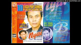 Download lagu IYONG - Buaya Cinta mp3