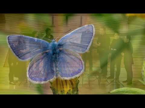 SolaVoce: Stefano Puri (*1979) – Ubi caritas et amor