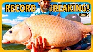 The BIGGEST Fish You've NEVER HEARD Of!