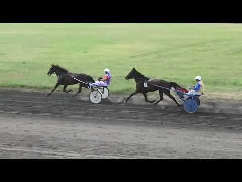 Trka "Opština Kula" 3.7.2022. Ness Royal - Dulić Petar