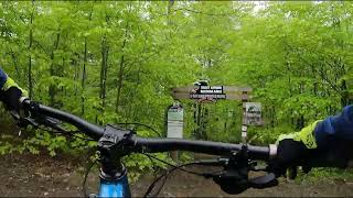 A1 Line in Srebrna Góra Enduro Trails (Poland)