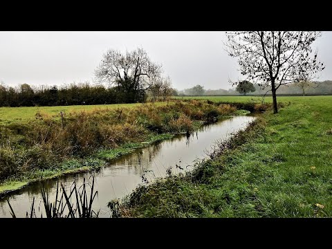 WALKING IN SURREY | LINGFIELD | RIVER EDEN | AN OLD MILL AND A TINY CASTLE