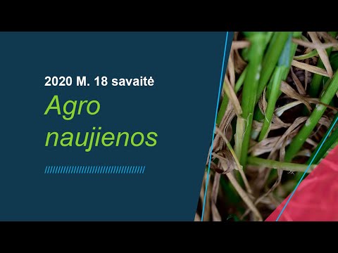 Agro naujienos // 18 savaitė