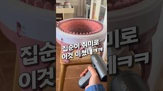 유튜브 썸네일