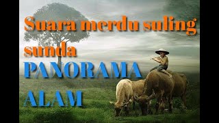 Download lagu Suling sunda merdu sang pengembala mp3