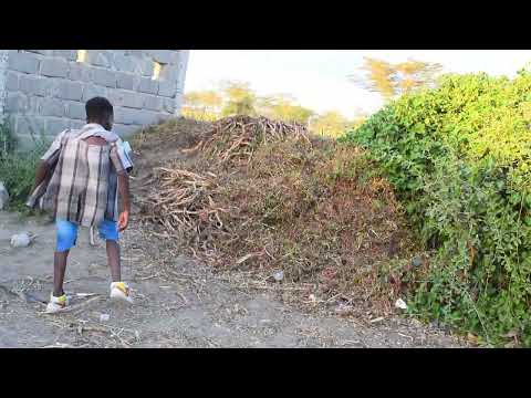 Biez Kaviru ft kavundi -Waasya mbau njaaanuari