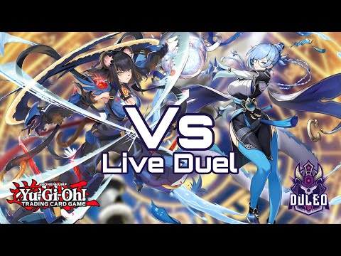 K9 Dracotail Vs Dracotail Live Duel!!