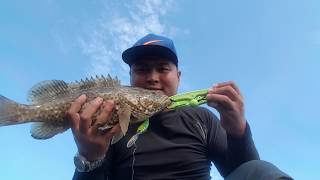 preview picture of video 'Strike Kerapu 1.1kg  - Casting sekitar Pulau Jambongan Pitas 9 & 10 Sept 2018'