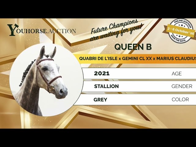 Queen B homevideo