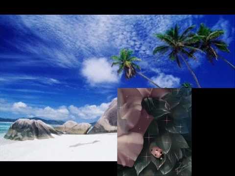 BONA KIMO Prolet,Leto,Esen,Zima.wmv