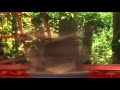 Zoboomafoo Zoboo Getting Very Very Sick From Spinning So Fast