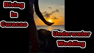 A Week In Curacao Compilation And An Underwater Wedding