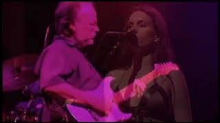 Steely Dan Live at St  Louis 2006 - Full concert