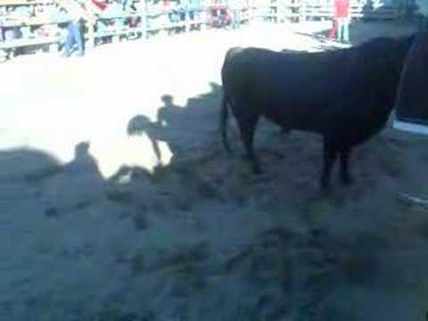 sardinha assada benavente 2008 (3)