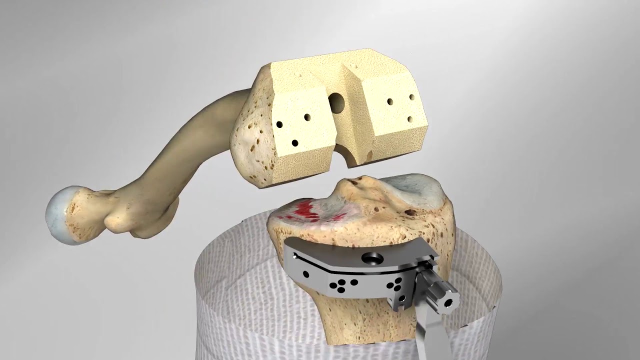 Edgar Díaz Cordero-8