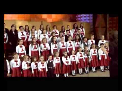 Akord Junior   Steluta de nea