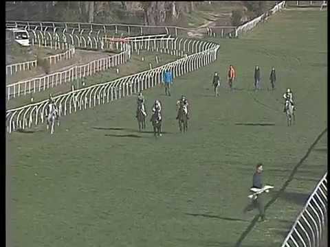 Galoppo 20/01/2018 - corsa pony