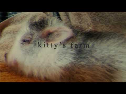 Video thumbnail for ​Kitty’s Farm