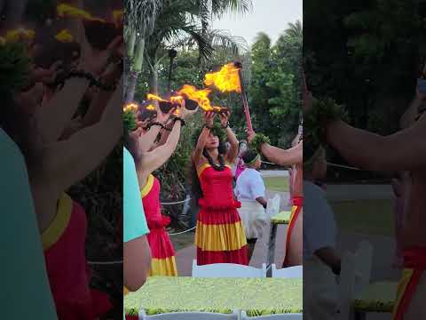 Aloha Kai - Sea Life Park Luau