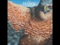 Shawn James The Hawk 2013 Full Album