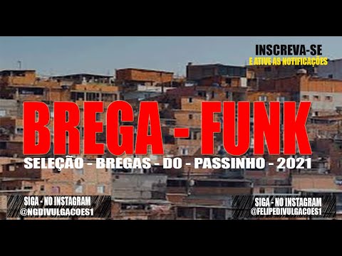 CD DE BREGA FUNK PRA PAREDÃO 2021