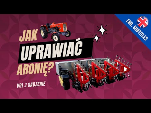 Zobacz filmy, Piotr Eggert Szkółka Specjalistyczna Aronii Czarnoowocowej, Kolonia Bądków