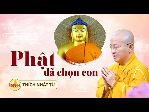 Phật đã chọn con