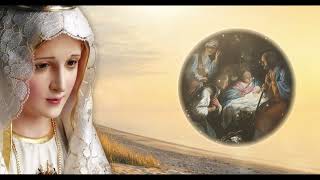 TODAY HOLY ROSARY: SATURDAY, AUGUST 01, 2026 - THE HOLY ROSARY SATURDAY