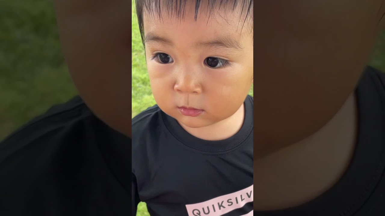 たんぽぽの綿を一生懸命吹く２歳児　#赤ちゃんのいる生活　#2歳