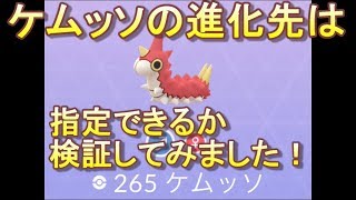 ケムッソ ポケットモンスター ギラティナ ボルトロス ハルカ