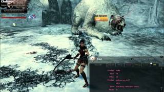 (NA) Vindictus - Scythe Evie Flawless Solo - Red Tyrant aka Giant Polar Bear [HD]