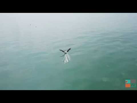 A Project for Taqwa Adventures !!