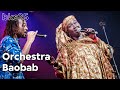 Orchestra Baobab - live at Best Kept Secret 2025