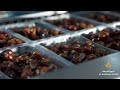 Al Barakah Dates Factory LLC Factory Video