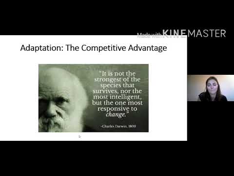 Gaa Coach Webinar Series 2020 - Ciara Losty and Gerry Fitzpatrick - Building Back Better