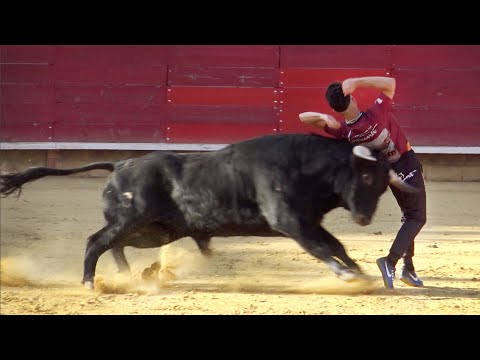 Concurso de TOROS BRAVOS Laguna de Duero 2022
