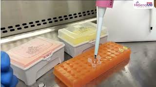 HTBM015 - HiPer® Restriction Digestion Teaching Kit