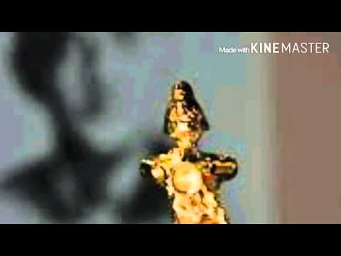 Miroslav Matusic-Jutros mi je ruza procvetala