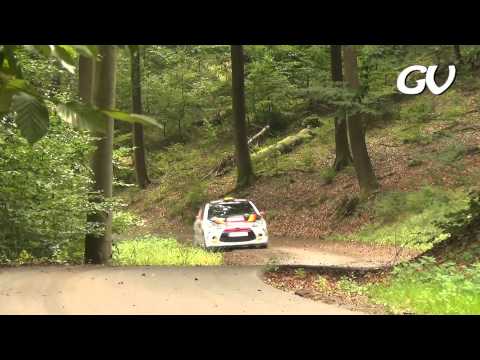 WRC Rally Germany - Day 2&3 2013 (Crash + hot moment)