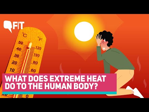 Heatwaves | What Happens To The Human Body Under Extreme Heat | The Quint