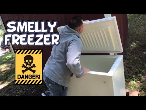 Trying to get BAD SMELL out of a FREEZER!  Biocide system review!