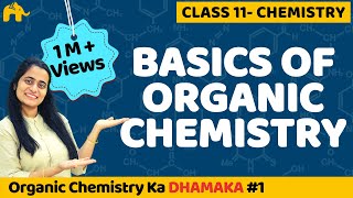 Organic Chemistry Class 11 | Chapter 12  NCERT CBSE NEET JEE  #1