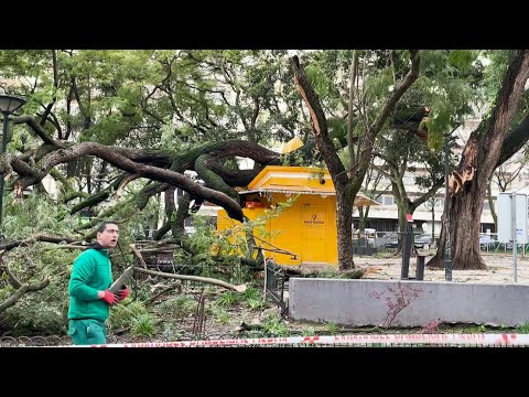 Video Thumbnail: Lisbon battered by heavy winds as Storm Kristin hits Portugal | AFP