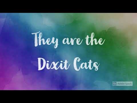 Meeting the Dixit Cats #shorts