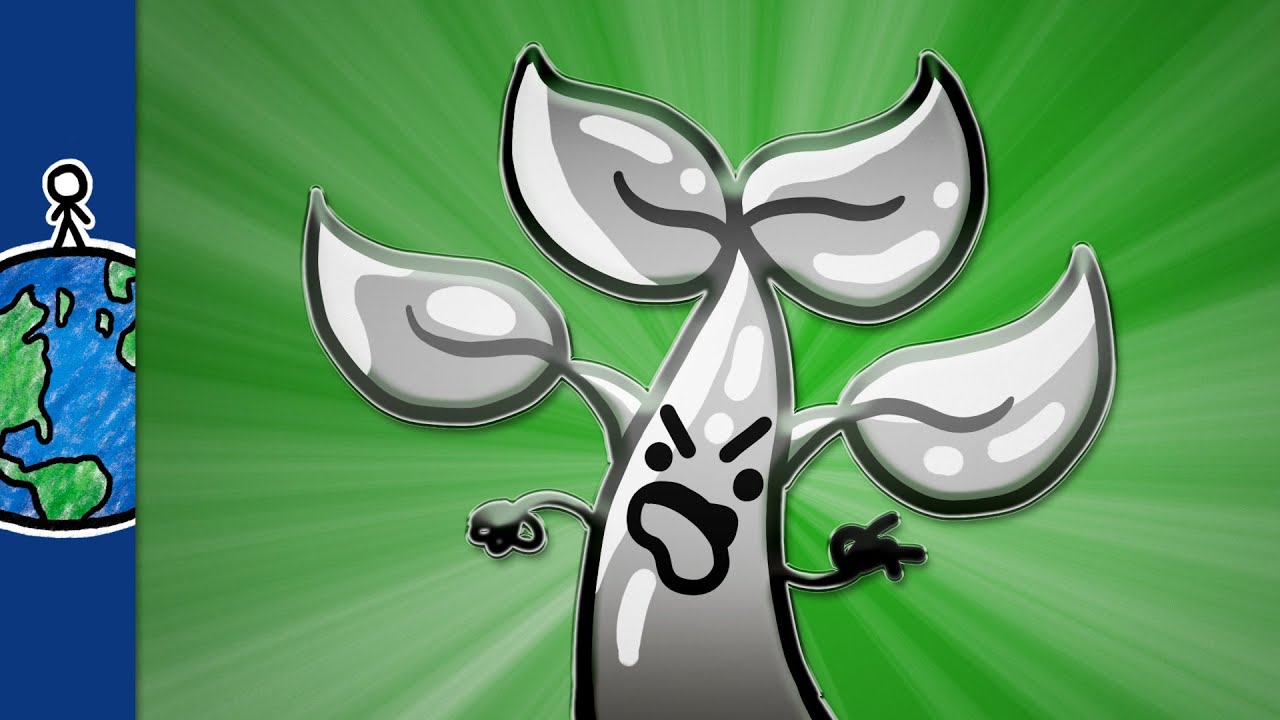 The Plant That’s Full Of Metal