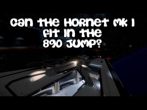Star Citizen - Can a Fighter Ship Fit in the 890 Jump Hangar? A Hobby Adventure !