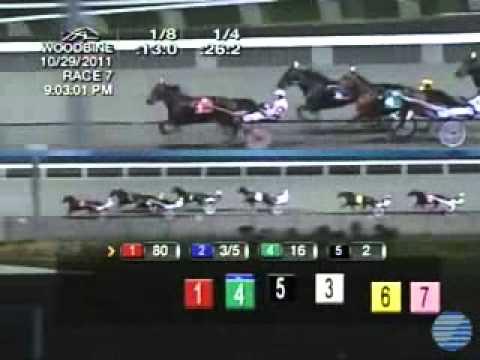 Breeders Crown Open Trot 2011 -San Pail