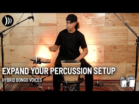 New Pocket Bongos for Cajon & Percussion — Sound Demo