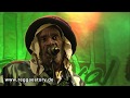 Israel Vibration - 2/4 -  Far Beyond + Back Staba - 02.08.2019 - Reggae Jam
